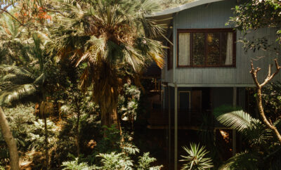 Reinwood Retreat – A Paradise for the Naturalist