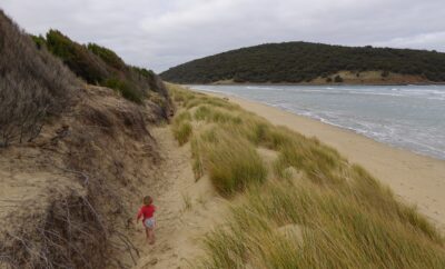 Beachfront Family Surf Retreat