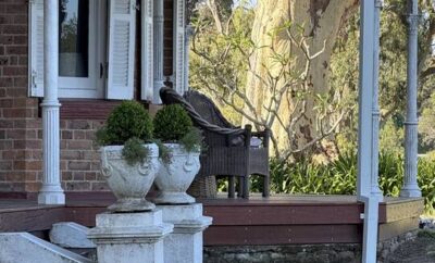 Kalimna Homestead in the Hunter Valley